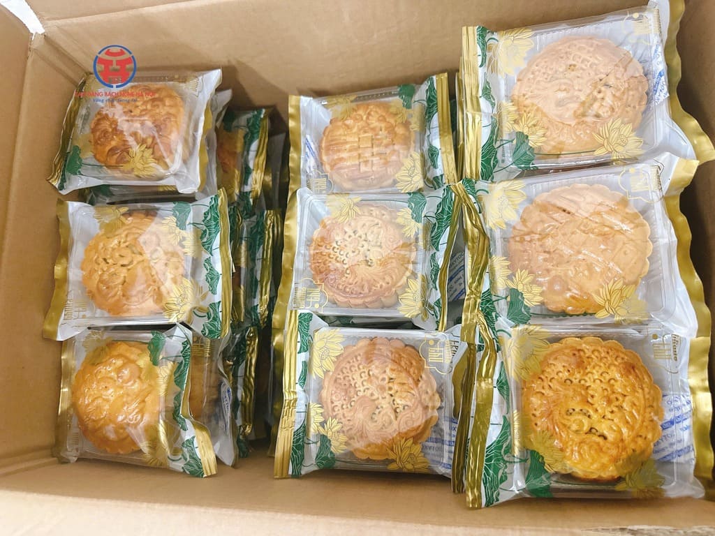 557854355_1385767730215149_5028082402463443765_n