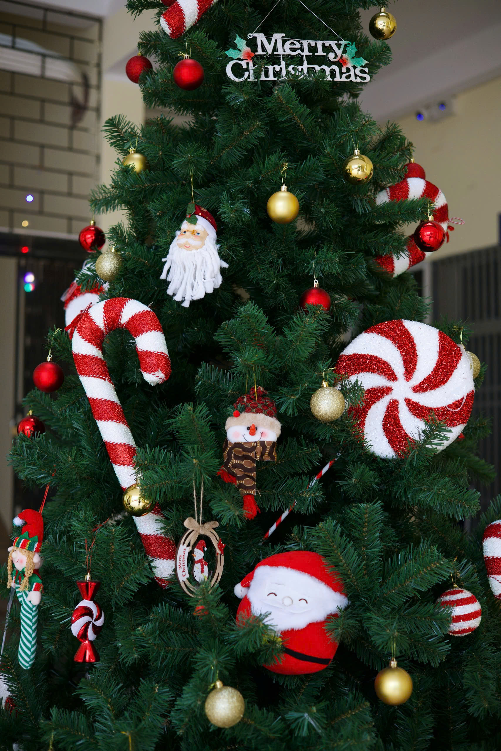 Z7360759129752_1484253e6fc07aaa80d6a51af5dab6c3